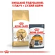 Сухой корм Royal Canin Bengal Adult 2 кг (4370020) - изображение 6