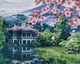 Картина по Номерам Brushme SH51573 Цветущая Сакура 50x40 см (19603) - изображение 1