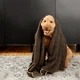 Рушник для тварин великий e-Cloth Cleaning and Drying Towel 211780 - зображення 4