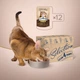 Консервований корм Club 4 Paws Premium Plus Selection - вологий корм зі шматочками оселедця і салаки в желе для котів 80 г (B5631101) - зображення 7