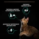 Сухой корм Purina Pro Plan Veterinary Diets STERILISED Adult Turkey с индейкой для стерилизованных котов 14 кг (7613287887702) - изображение 14