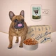 Консервований корм Club 4 Paws Selection - паштет з індичкою та ягням для дорослих собак 400 г (B2550401) x12 шт. - зображення 7
