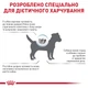 Лечебный корм Royal Canin Anallergenic Small Dog Диетический сухой корм для собак малых пород с пищевой непереносимостью (аллергией) 1,5 кг (3317015) - изображение 5
