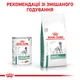 Консервований корм Royal Canin Diabetic Special Low Carbohydrate 12 шт х 410 г (4015004-12) - зображення 7