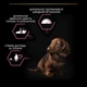 Сухой корм Purina Pro Plan Veterinary Diets Small&Mini Puppy Sensitive Skin Salmon Сухой корм с лососем для щенков малых пород 3 кг (7613035123809) - изображение 7