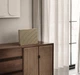 Акустика Bang & Olufsen Beosound Level Gold Tone Alu/Light Oak (1200498) - изображение 15