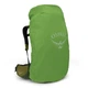 Туристический рюкзак Osprey Atmos AG LT 65 Scenic Valley/Green Peppercorn S/M (009.3278) - изображение 5