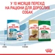 Корм для цуценят малих порід ROYAL CANIN MINI PUPPY 8,0 кг (30000801) - изображение 7