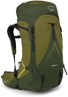 Рюкзак туристический Osprey Atmos AG LT 65 л Scenic Valley/Green Peppercorn (009.3278) - изображение 1