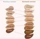 BB крем для обличчя Heimish Moringa Ceramide BB Cream SPF 30 PA++, 30 мл 23 - изображение 4