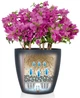 Вазон Lechuza Classico Color 35 Песочно-коричневый (13225 / 4008789132253) - изображение 4