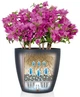 Вазон Lechuza Classico Color 18 Песочно-коричневый (13264 / 4008789132642) - изображение 4