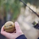 Эхолот Deeper Smart Sonar CHIRP+ 2 - изображение 3
