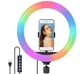 Кольцевая светодиодная LED RGB лампа MJ33 с держателем для телефона и с пультом-переключателем на 16 режимов 33 см - изображение 2