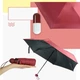 Женский карманный мини-зонт Umbrella с футляром Бордовый ( З-00431) - изображение 1