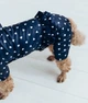 Дощовик для дівчат з рюшами Dogs Bomba темно-синій у сердечко, розмір 8 - зображення 2