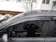 Ветровики HB (4 шт., Sunplex Sport) для Peugeot 307 2001-2008 гг - изображение 2