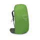 Рюкзак Osprey Kestrel 48 Bonsai Green L/XL (1054-009.3312) - изображение 5