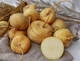 Насіння Репа Петровська-1, 1 г (GL Seeds) - зображення 4