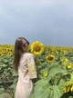 Жіноча сукня з вишивкою Колоски Koala Fashion 6XL бежевий - зображення 2