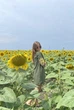 Жіноча сукня з вишивкою Колоски Koala Fashion M хакі - изображение 3