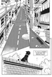 Коти – вояки. Манґа. Подарунковий комплект. Книги 1-4 - - зображення 8