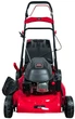 Газонокосарка бензинова Vitals Master Zp 51144td - зображення 5