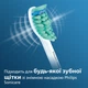 Насадки для зубної щітки PHILIPS Sonicare HX6014/07 ProResults - зображення 6