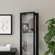 Шафа зі скляними дверцятами IKEA BLÅLIDEN, чорний, 35х32х151 см, 005.205.19 - изображение 4