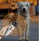 Отпугиватель собак ультразвуковой MHZ Ultrasonic Dog Repeller PU 70 8669 с фонариком серебро - изображение 3