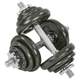 Гантели разборные 20кг (2шт по 10 кг) стальные наборные гантели Zelart Fit 8212-20 - изображение 2