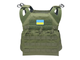 Плитоноска Jump Plate Carrier Cummerbund - Olive [8FIELDS] - зображення 1