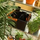 Ящик Fiskars Solid для садового приладдя 35.3 x 31.1 x 17.3 см Чорний (1071305) - зображення 8