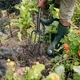 Вилы садовые Fiskars Solid (1070673) - изображение 2