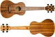 Укулеле концерт Flight DUC440 Acacia Concert Ukulele - изображение 5