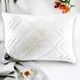 Подушка AIR DREAM CLASSIC IDEIA розы 50х70 СМ два чехла с молнией (8-11754*001) - изображение 9