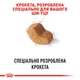 Сухой корм Royal Canin Shih Tzu Adult 1.5 кг (2200015) - изображение 4