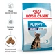 Сухой корм Royal Canin Maxi Puppy 12 кг+3 кг (11423) - изображение 2