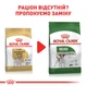 Сухой корм Royal Canin Jack Russell Terrier Adult 1.5 кг (21000159) - изображение 4