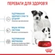Сухой корм Royal Canin Mini Starter Mother & Babydog 8 кг (2990080) - изображение 4