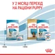 Сухой корм Royal Canin Mini Starter Mother & Babydog 8 кг (2990080) - изображение 6