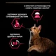 Сухой корм для кошек PRO PLAN корм для кастрированных котов с уткой, печенью и рисом 1.5кг - изображение 4