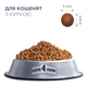 Сухий корм для кішок Club 4 Paws Преміум. Для кошенят зі смаком курки 300 г (4820083909115) - зображення 6