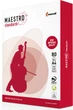 Ящик бумаги офисной Maestro Standard+ A4 80 г/м2 класс В 500 листов х 5 пачек (MS.A4.80.ST-5) - изображение 2