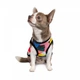 Одежда Pet Fashion Борцовка «Cool» для собак, с принтом XS (1111162861) - изображение 2