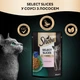 Консервований корм Sheba Select Slices з лососем у соусі 85 г (4770608257279) - зображення 4