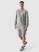 Шорти бавовняні чоловічі 4F Shorts Cas M330 4FWSS24TSHOM330-25S XL Сірі (5904698720330) - зображення 3