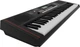 Синтезатор Roland E-X10 (RO-2942) - зображення 5