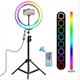 Кольцевая LED лампа Черный RGB-260 (SH7711177) - изображение 3