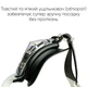 Очки для плавания детские Renvo Apure JR Anti-fog (9983830059226) - изображение 3